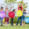 Thickened Punch Balloons with Rubber Band Handle Bouncy Balloons for Kids Birthday Wedding Party Favors Goodie Bag Fillers