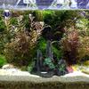Realistics Rock Formation Aquariums Rock  Simulation Stone Fishes Tanks Decoration for Small Fishe Play and Hide