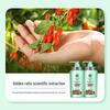 BEE&FLOWER Herbal Essence Shampoo