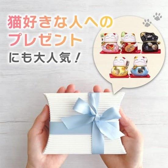 Sac Bag Cat Ornament Ceramic Lucky 5-piece Set Miscellaneous Tabletop Mini Goods Gift Interior (fortune Bringing)