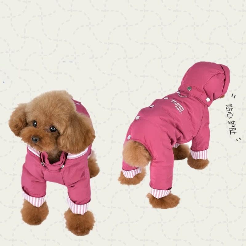 Warm Winter Pet Dog Cotton Coat Small Breeds Teddy Bichon S To XXL