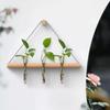 Elegant Wall Hanging Hydroponic Vase with Hemp Rope for Plants and Pothos