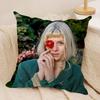 Singer A-Aurora Cushion Cover Soft Plush Double-Sided Printed Sofa Pillow Cushion Cover | Cozy All-Season Durable Decor Gift