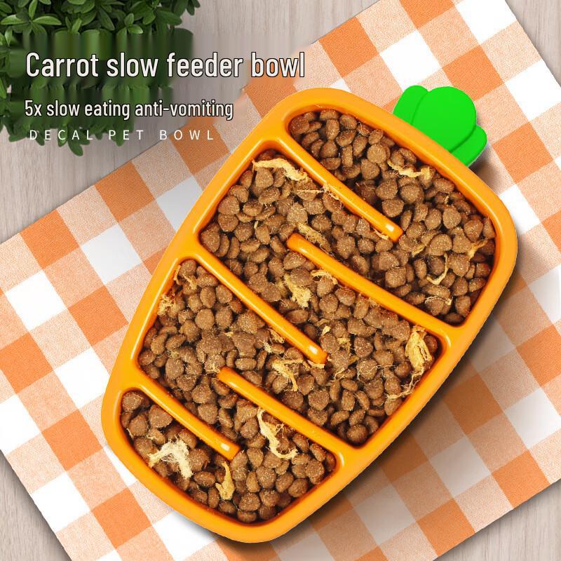 OJW Pet Slow Feeder Bowl