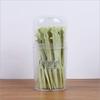 Cartoon Disposable Fruit and Dessert Fork Set for Kids