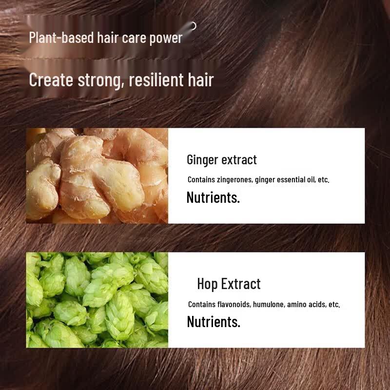 Fenghua Silicone-Free Ginger Shampoo