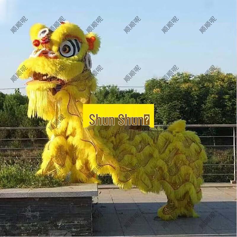 Adult Southern Lion Dance Head & Costume Set