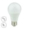 LED-lampen – LED-lampen en -strips