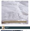 Five-Star Hotel Winter & Spring Down Comforter - Non-Down Duck Feather Core