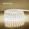 SMD2835 AC220V LED Strip Flexible Light 60LEDs/M Waterproof LED Tape LED Light With EU Plug