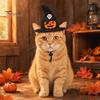 Lightweight Pet Headgear Halloween Cat Witch Hat, Fun Hat with Adjustable Elastic Strap, Cartoon Ghost Pumpkin Bat Skull for Cats Small Dogs