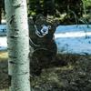 Hand Forged Metal Garden Bear Statue