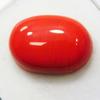Naturlig 10 ct Naturlig Cabochon Oval Slibning Italiensk Rød Koralk Løs Edelsten