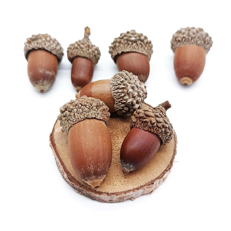 1pcs Acorn shells, handmade DIY materials, shooting props, dried flower fruit shells, acorn hats, Christmas wreath decorations, pendants, acorns