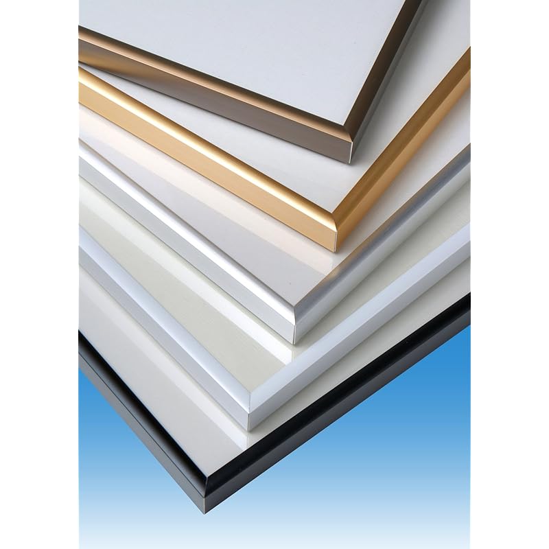 F1030 (483 x 683 mm) | Jigsaw Puzzle Frame for 1000 Pieces | Clear Resin Board, 1.00mm PET (Black)