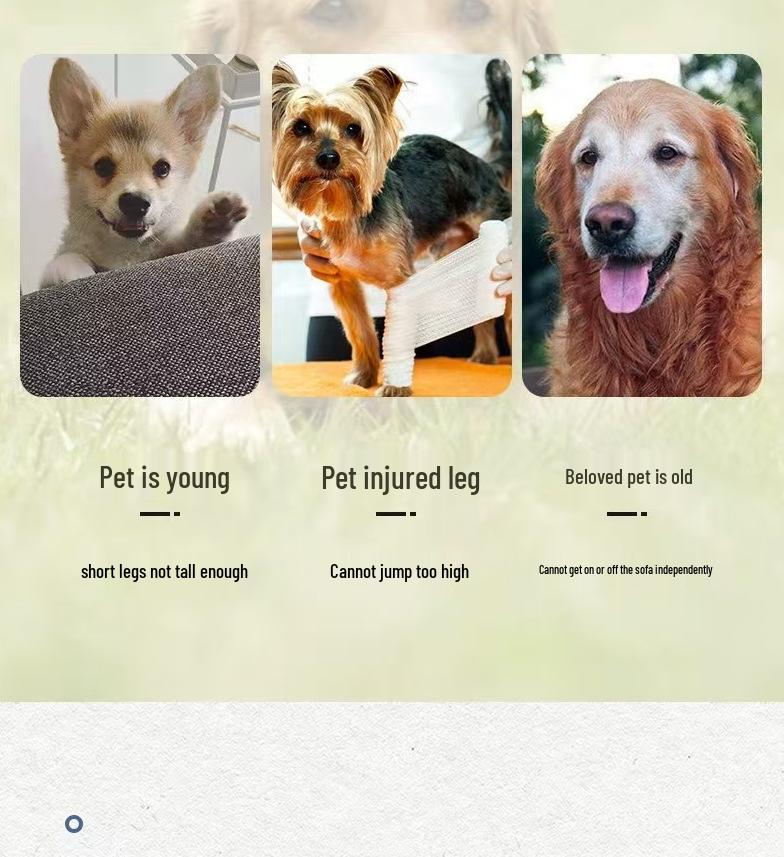 Washable Pet Bed Steps for Small Dogs and Cats