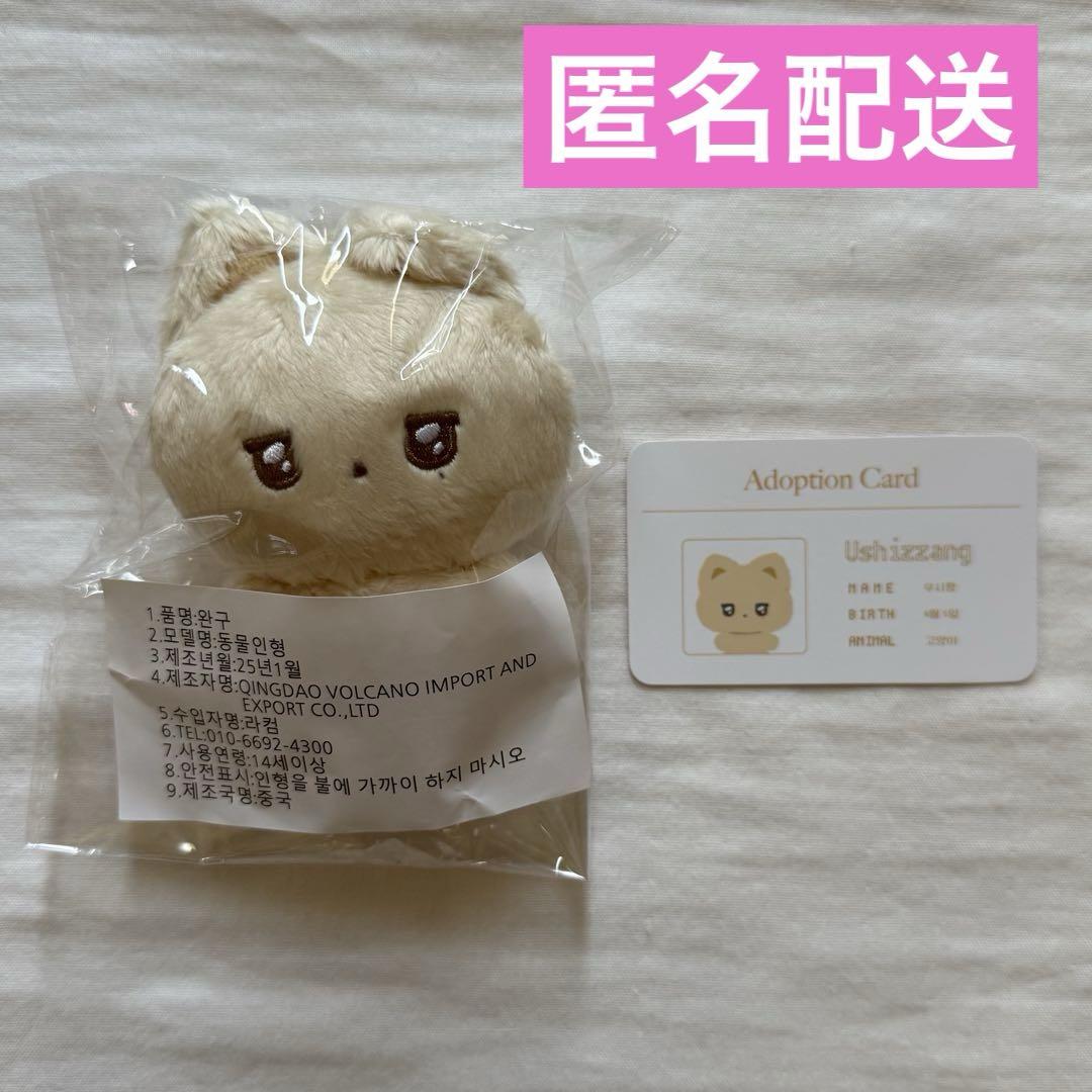 

[USED] NCTWISH Yuushi Plush Toy Master Yunima Winimalz