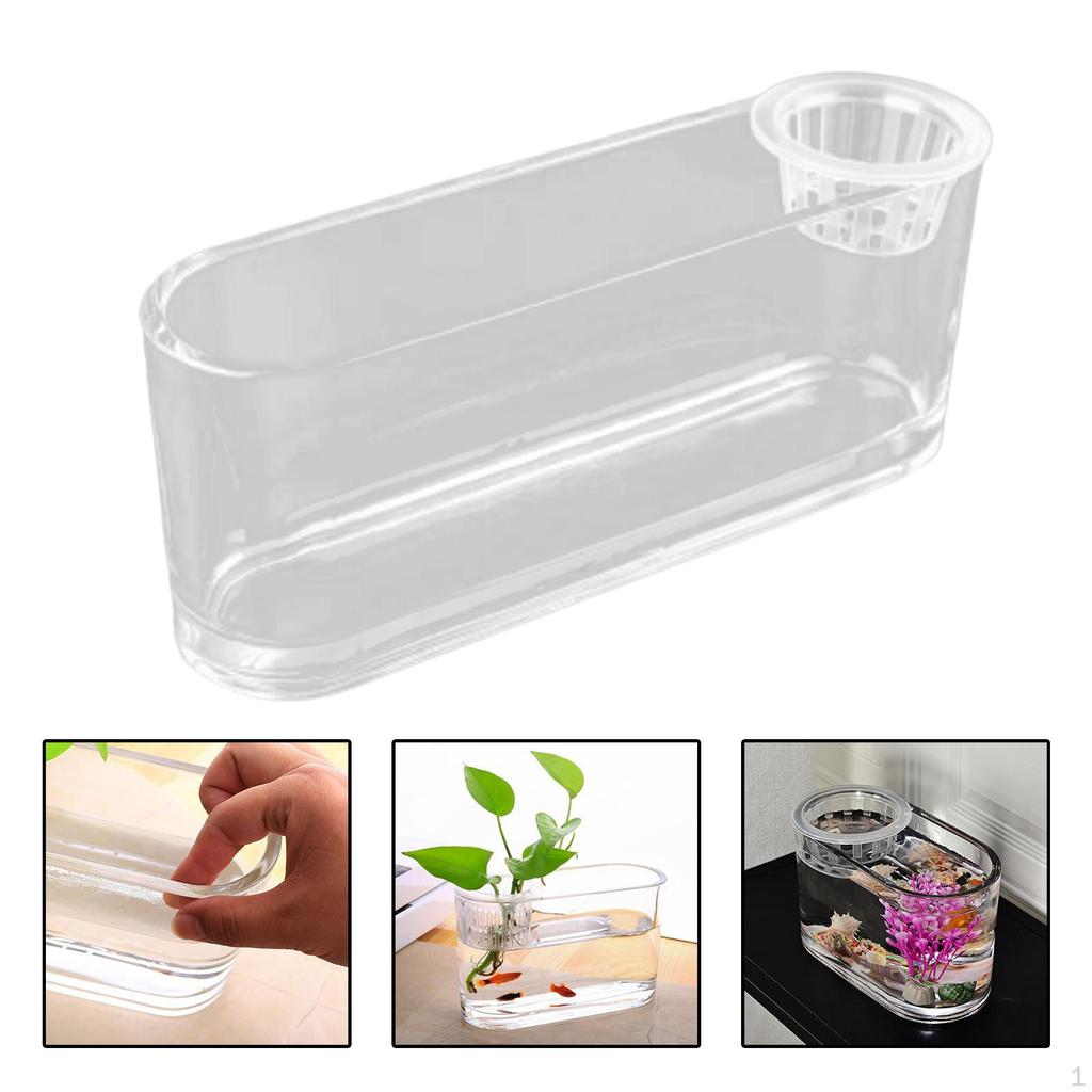Aquaponic Tank Plant Growing System Cleaning Decoration Flower Arrangement Container Garden for