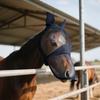 Donkey Fly Mask With Ears Protections Breathable Mule Fly Mask With Long Ears Protections From Soft Mesh Fabric With Adjustable Fastener