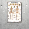 skeleton Vintage Tin Sign Home Decor Wall Decor Art Wall Mural Room Decoration Decor Retro Metal Sign Plate Bar Posters