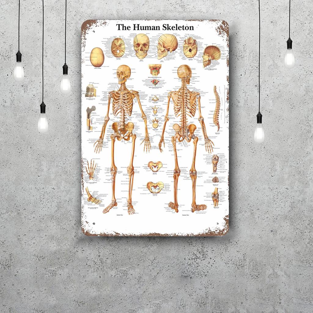 skeleton Vintage Tin Sign Home Decor Wall Decor Art Wall Mural Room Decoration Decor Retro Metal Sign Plate Bar Posters
