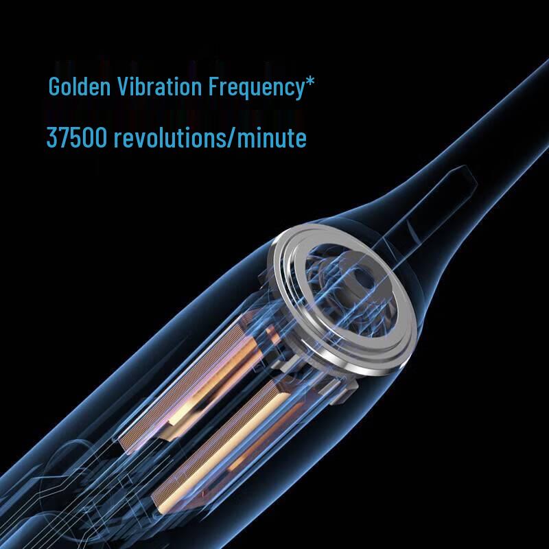 FLYCO FT7105 Rechargeable Sonic Electric Toothbrush CN plug (adapter included)