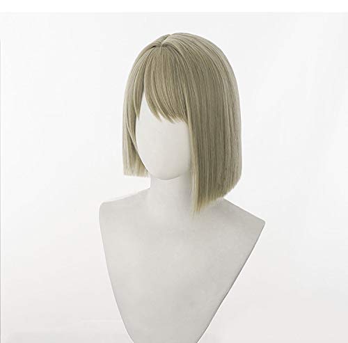 Kasumi Nakasu Cosplay Wig with Net, Brown Gray, Heat-Resistant