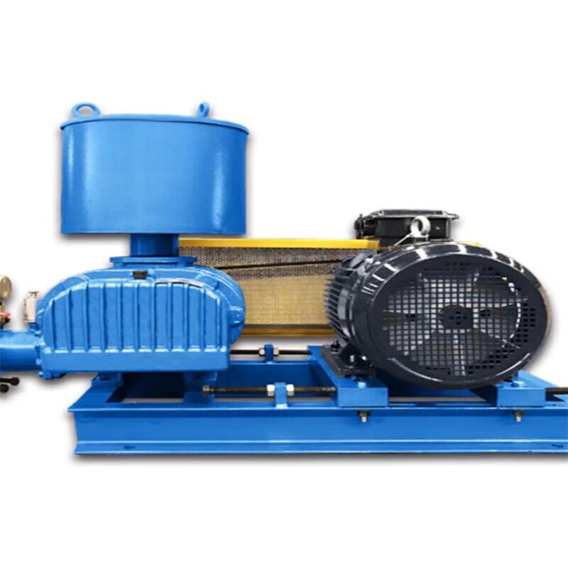 Erbeli BJSS-50 Industrial Roots Blower CN plug (adapter included)