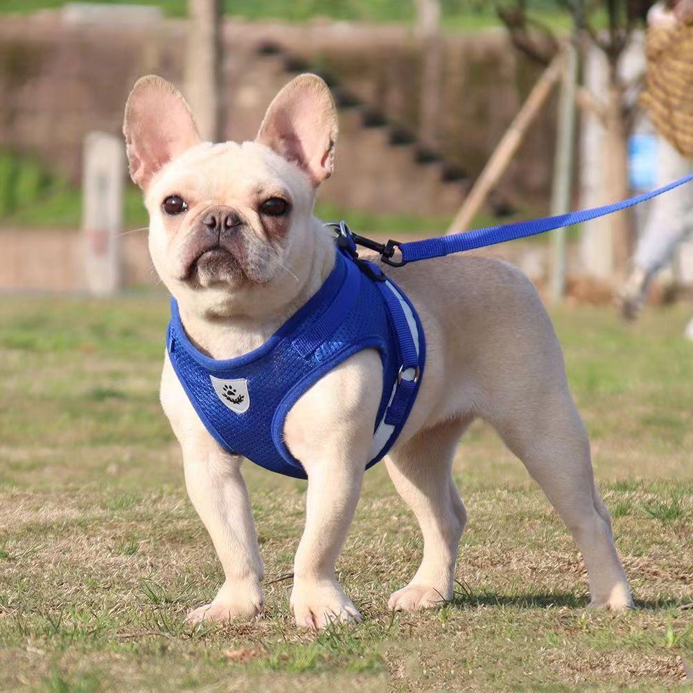 Mesh Cat Dog Harness Adjustable Pet Vest Harness Pet Accessories Pet Chest Strap  Pet