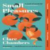 Small Pleasures by Clare Chambers Paperback Book 9781474613903
