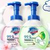 Safeguard Apple & Cherry Blossom Foaming Hand Wash 2-Pack