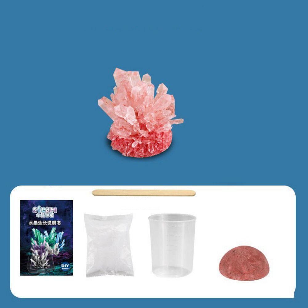 Display Cases Crystal Growing Kit Grow a Crystal Vibrant Colored Crystals DIY Educational Science Toys Mold Shapes