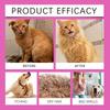 EELJOY No-Rinse Leave-In Pet Shampoo Foam - Fur Cleansing & Softening Care