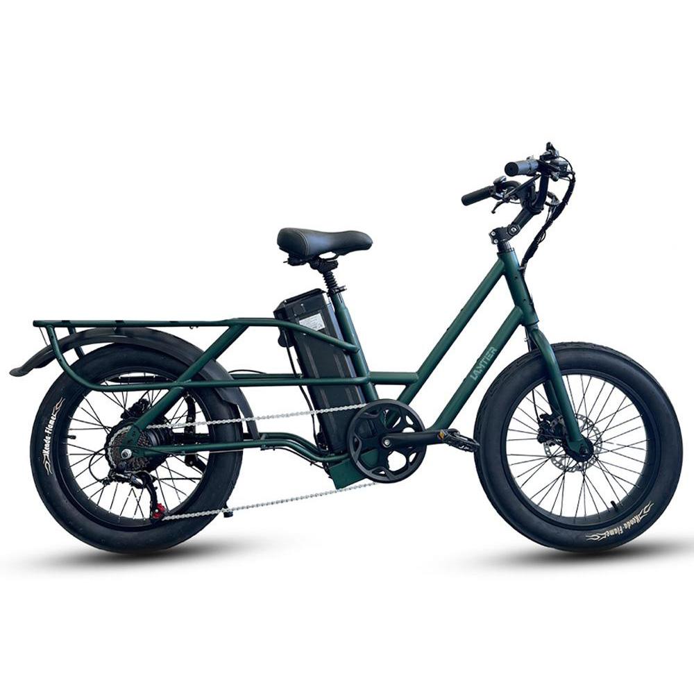 Elektrofahrräder Lamiter 20" 750W 48V 20.8AH Erwachsenen E-Bike Höchstgeschwindigkeit 45Km/h Maximale Reichweite 120Km Zuladung 300Kg K750