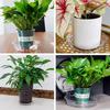 Transparent Horticultural Plant Pot Base Anti-Slip Circular Household Pot Tray Waterproof Plastic Water Storage Stain Drainage