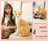 Siamese Cat Plush Toy: Early Education Comfort Gift for Children, Home Decor Ornament