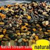Peixes e animais aquáticos – Decoração de aquário