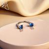 ZS 1 Stück 20G G23 Titanstahl Hufeisen Nasenring Damen Herren Farbiger CZ Kristall Nasenpiercing Ohr Helix Tragus Lippenpiercings