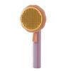 Custom Self-Cleaning Pet Hair Remover Comb Pumpkin Dog/Cat Bath Slicker High Shedding Massage Plastic Grooming Brush