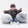 Kawaii Lifelike Seals Plush Toys Stuffed Soft Marine Sea Lion Animal Doll Cute Squishy Pillow Back Cushion Kid Birthday Gifts