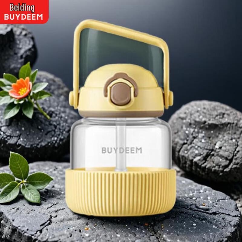 Buydeem Glass Straw Water Bottle