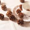 Natural Wooden Pine Cone Christmas Tree Ornaments, Set of 6, 4cm