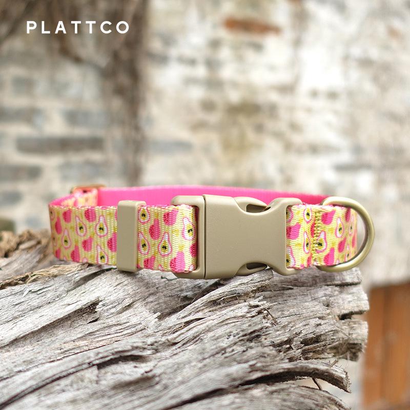PLATTCO PDC368 Nylon Faux Leather Dog Training Collar S 2.0cm* (31-41cm)