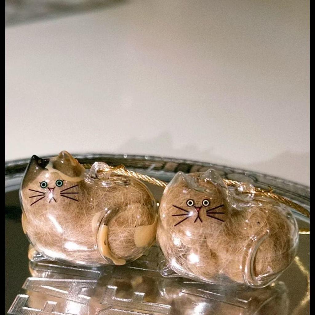 Clear Cat Hair Capsule Keychain: Commemorative Storage Bag Pendant
