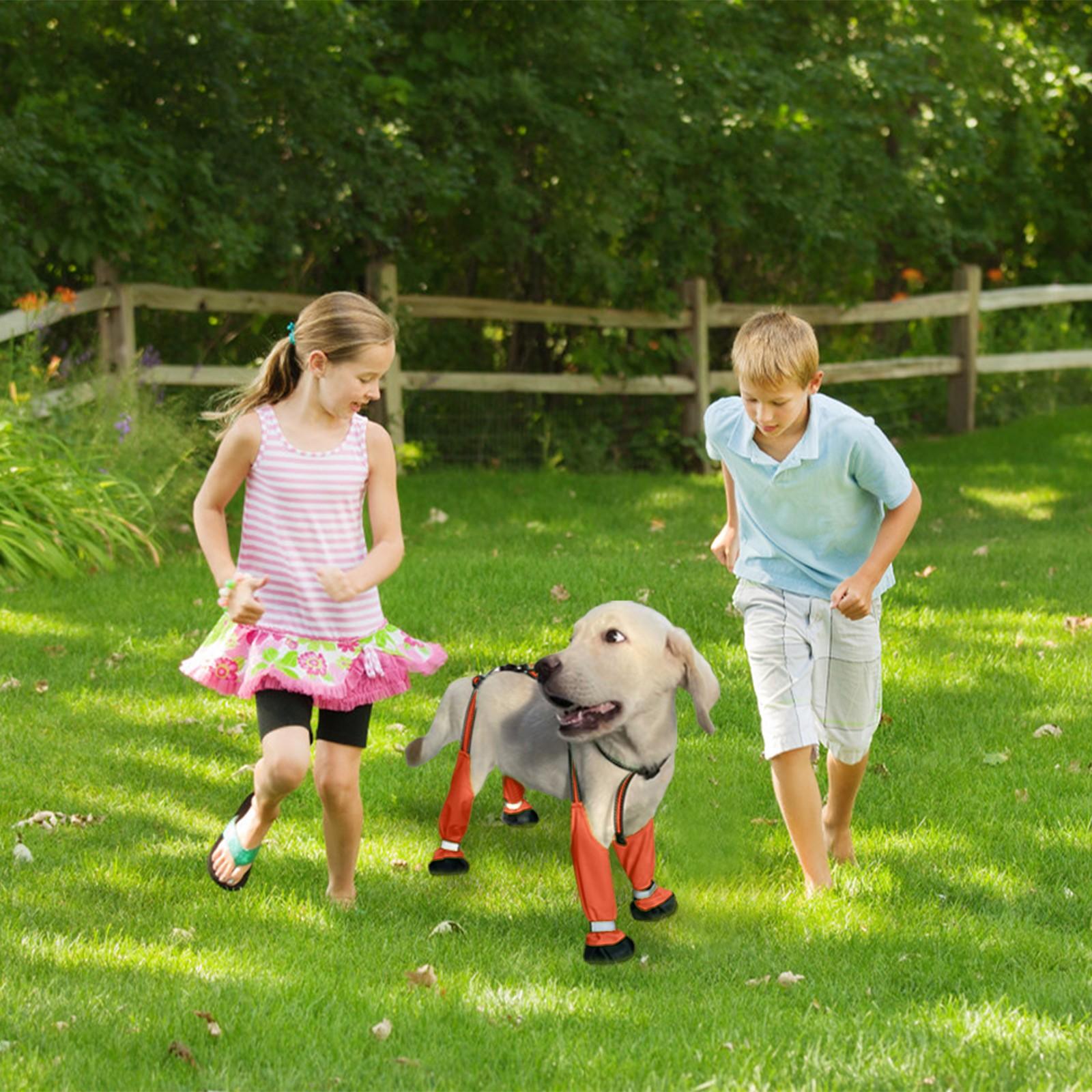 

Водонепроницаемая обувь для собак, защита для лап, обувь с подтяжками, нескользящая, светоотражающая, одежда для домашних животных для маленьких собак, мужской дизайнерский вид XS оранжевый