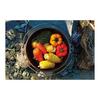 CAPTAIN STAG Dutch Oven Set, Cast Iron, No Seasoning Required, Lid Lifter and Storage Bag Included