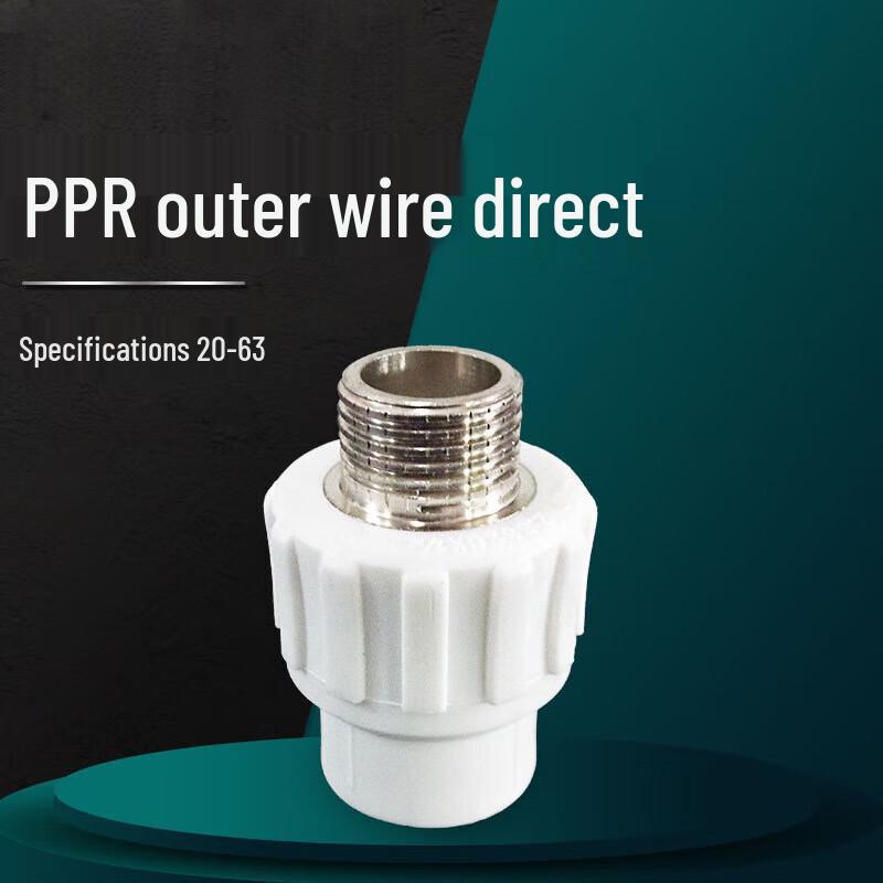 Saizesi PPR External Thread Straight Connector
