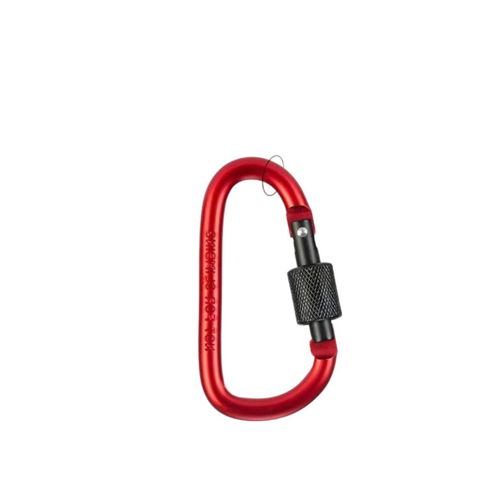 Boucle d'alpinisme plate latérale avec clé de verrouillage Accrochage rapide Boucle de sac à dos Boucle multicolore