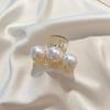 Simple Temperament Pearl Hair Clip for Woman Korean Shark Clip Girl's Ponytail Clip