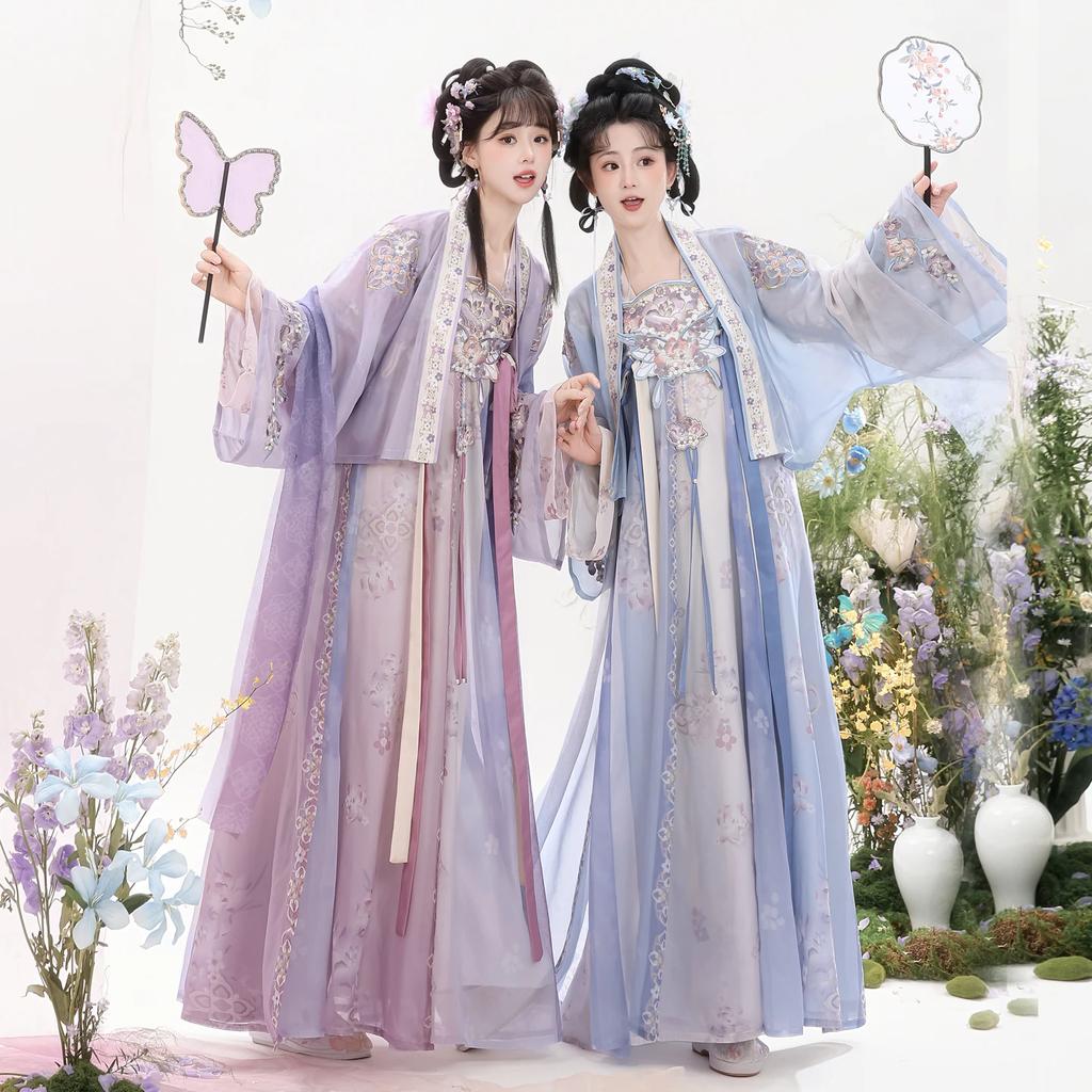 Women Tang Dynasty Hanfu Set Embroidered Qi Xiong Ru Qun Traditional Chinese Dress Daily Cosplay Outfit
